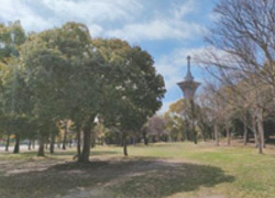 花博記念公園鶴見緑地